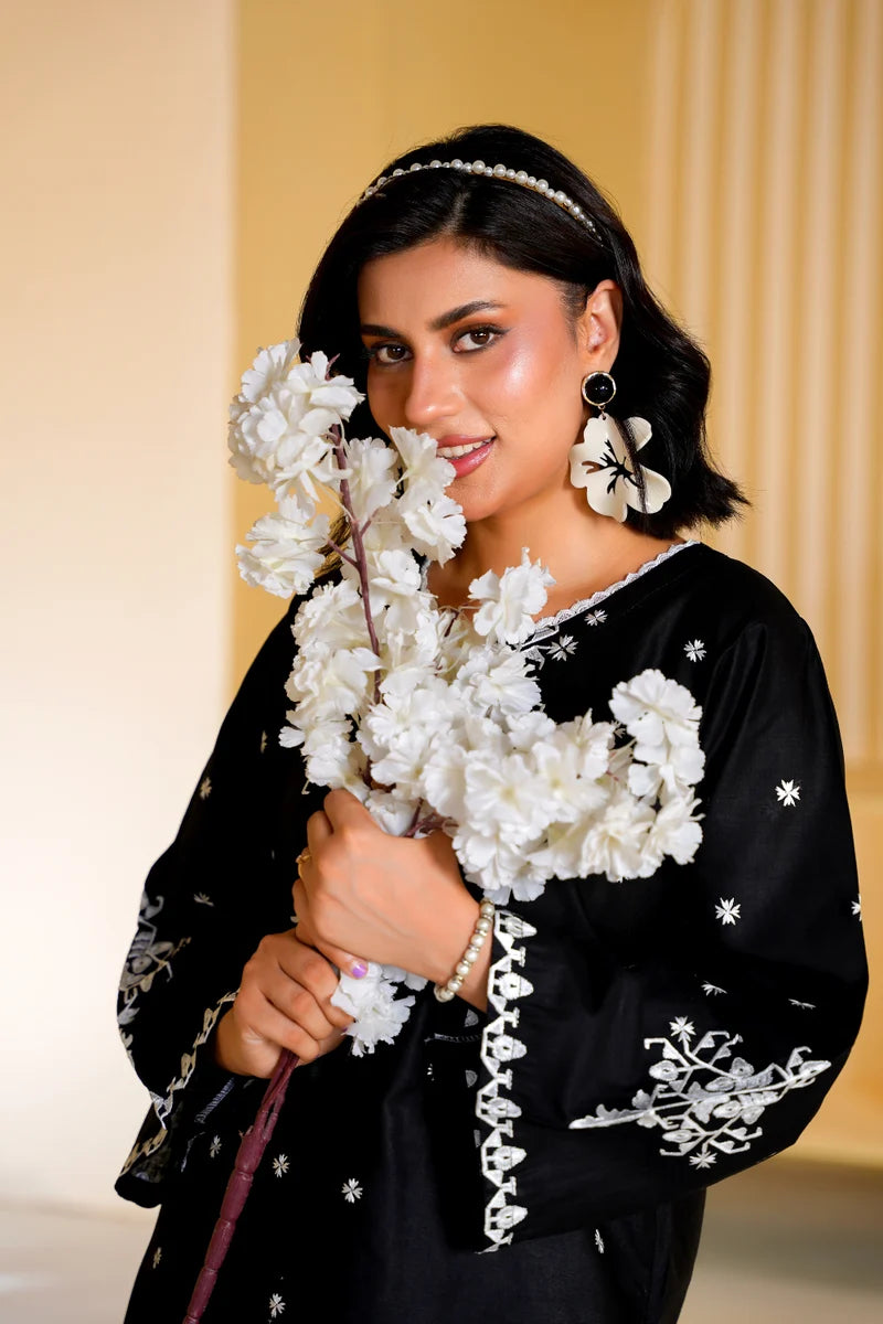 Shab-e-Noor– Embroidered 2 Piece